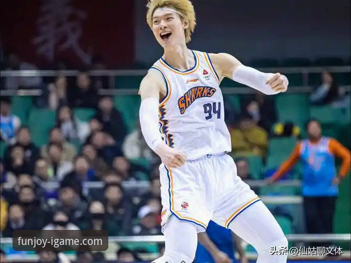 从14年坚守到首冠圆梦——王哲林CBA封王之路的完整指南